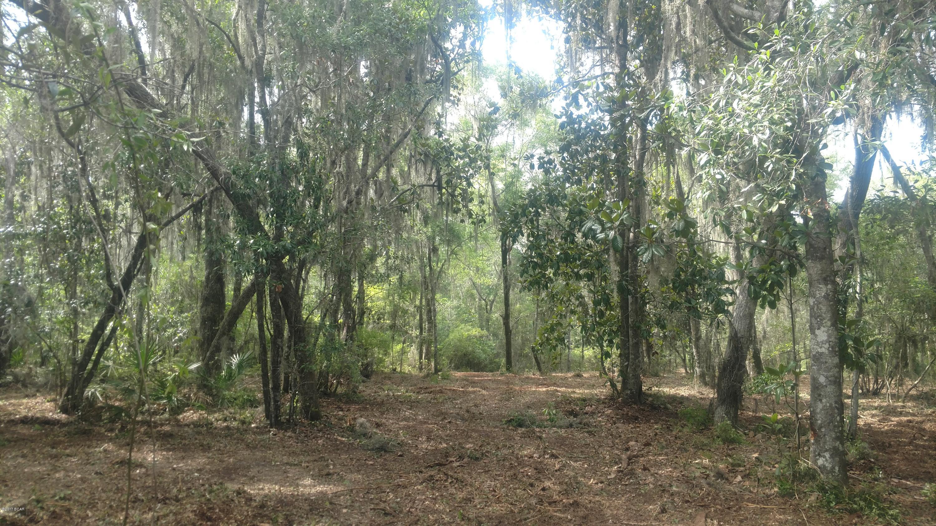 Cedar Creek Ph II - Land