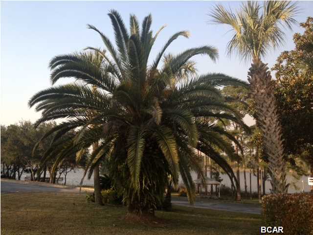 Palmetto Bluff - Residential