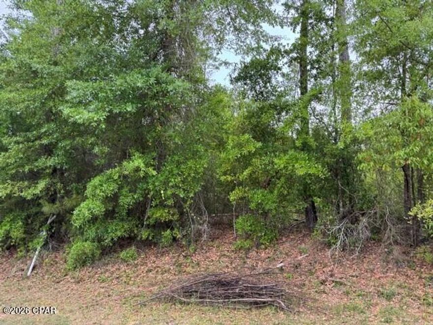 This vacant lot is is located right across the street from the Dead Lakes. This property is not in a flood zone. Mobile homes welcome. This lot is 60' x 120 '  Your only limitation is your imagination !