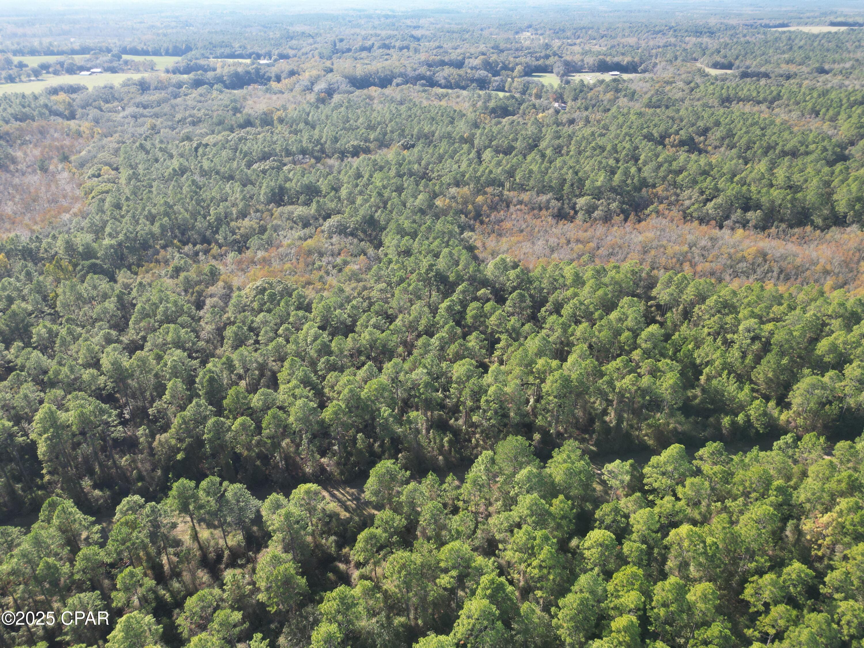 Canopy Crossing - Land