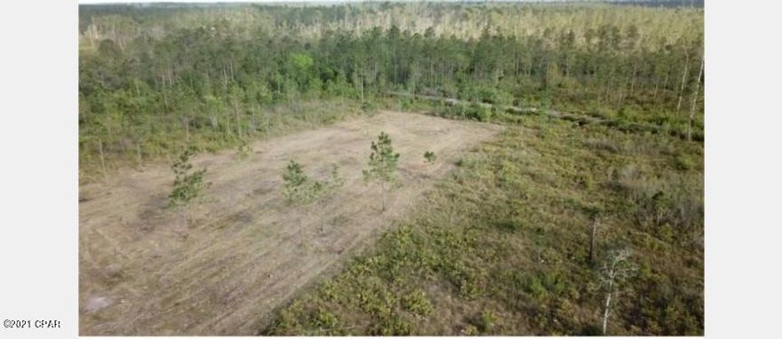 2 of the 10 acres have been cleared.

easement as been redone and has new dirt. 

great hunting land.