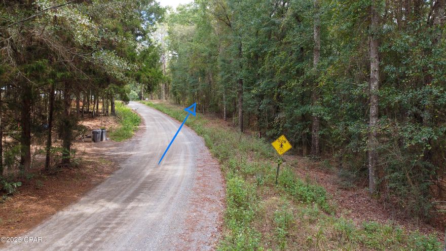 THIS LISTING IS FOR THE PURCHASE OF 2 NON CONTIGUOUS LOTS IN DOGWOOD LAKE ESTATES.  0 OLIVE LANE & 2724 Muir Lane -- a serene slice of Northwest Florida living. This beautiful property offers just over half an acre of quiet, peaceful land nestled in a calm residential neighborhood just outside Bonifay. Surrounded by nature and open skies, it's the perfect setting to build your dream home or invest in the area's promising future.

Located only minutes from Dogwood Lakes Golf Club, you can enjoy an 18-hole course with rolling fairways, sparkling water features, and a relaxing country club atmosphere. For outdoor enthusiasts, Vortex Springs is just a short drive away -- one of Florida's clearest natural springs, ideal for swimming, diving, and weekend getaways.

Bonifay itself is a charming small town and the county seat of Holmes County, known for its friendly community, low cost of living, and proximity to the Gulf Coast. From local favorites like the Northwest Florida Championship Rodeo to historic landmarks and small-town eateries, Bonifay blends rural tranquility with easy access to Panama City Beach, Pensacola, and Tallahassee.

The area surrounding Muir Lane is poised for steady growth as development continues to move north from the I-10 corridor. This property offers both peace and potential -- a quiet retreat today and a smart investment for the future.

THE OLIVE LANE PROPERTY HAS GOLF COURSE FRONTAGE AND SIMILAR LOT SIZE.