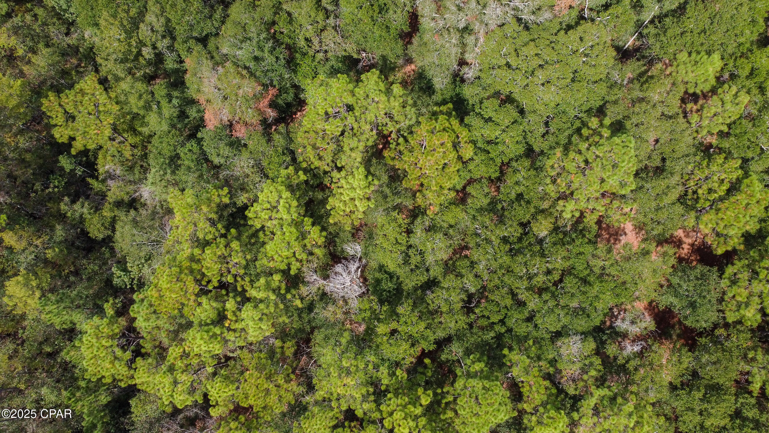 Dogwood Lake Estates - Land