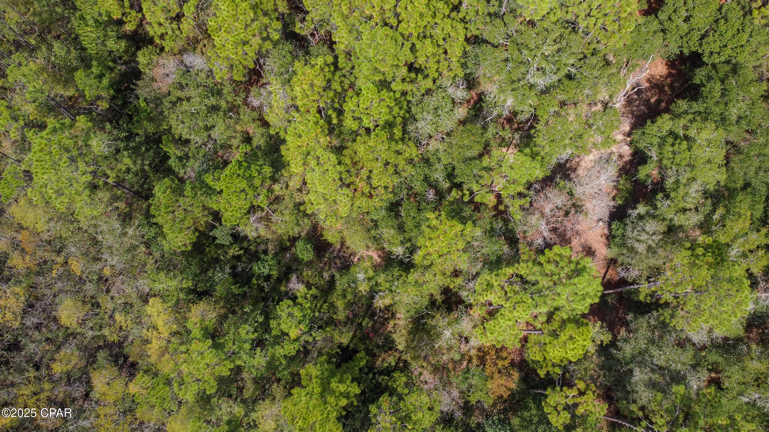 Dogwood Lake Estates - Land
