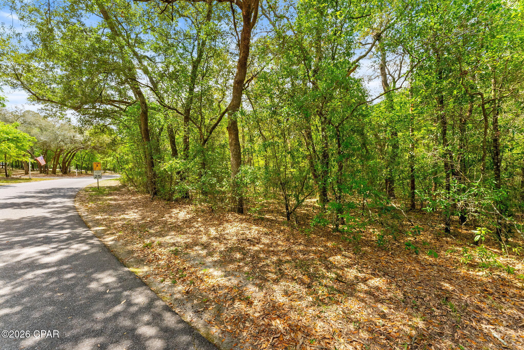 Leisure Lakes 1st Add - Land