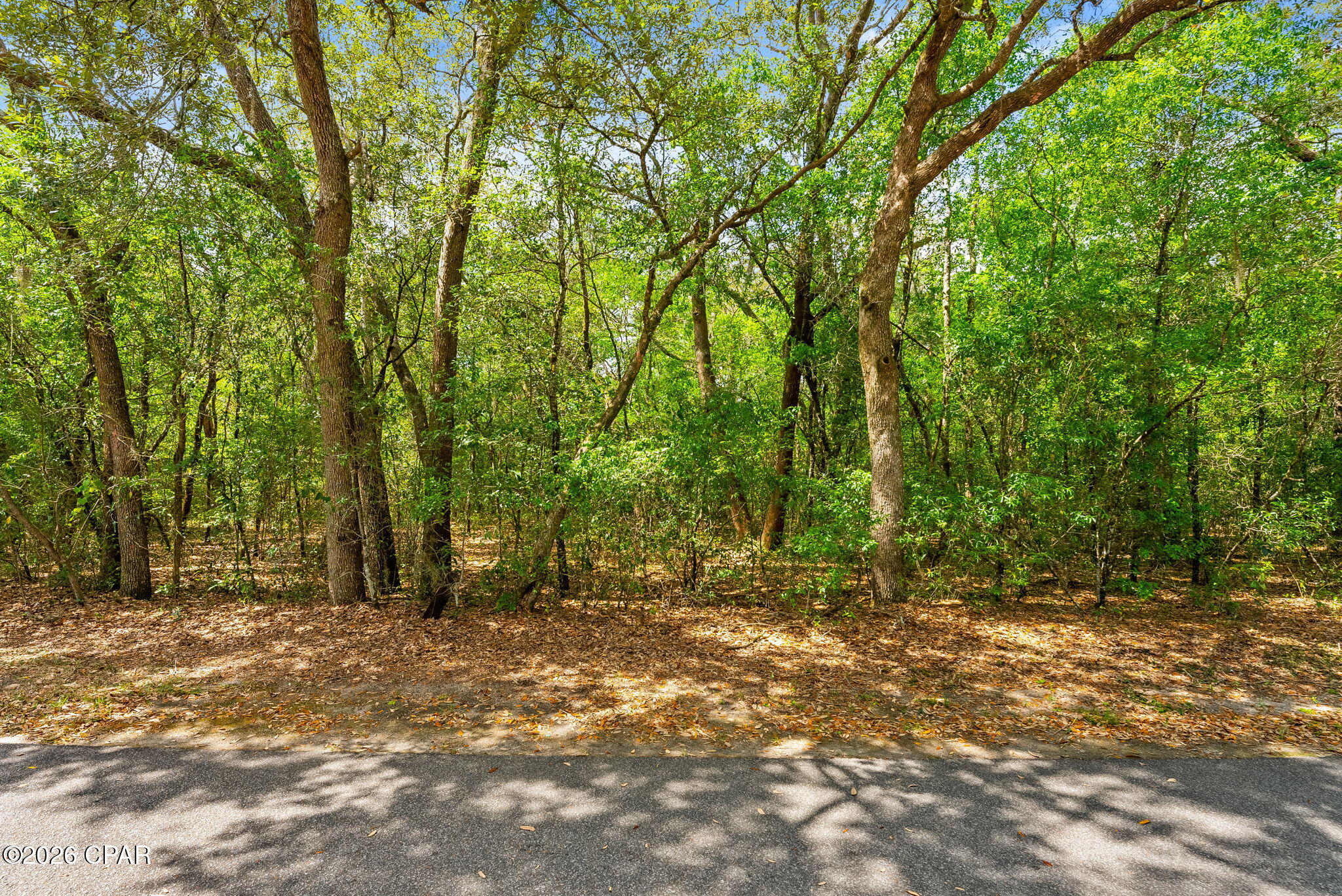 Leisure Lakes 1st Add - Land