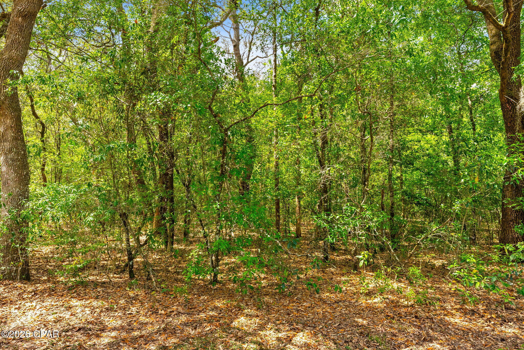 Leisure Lakes 1st Add - Land