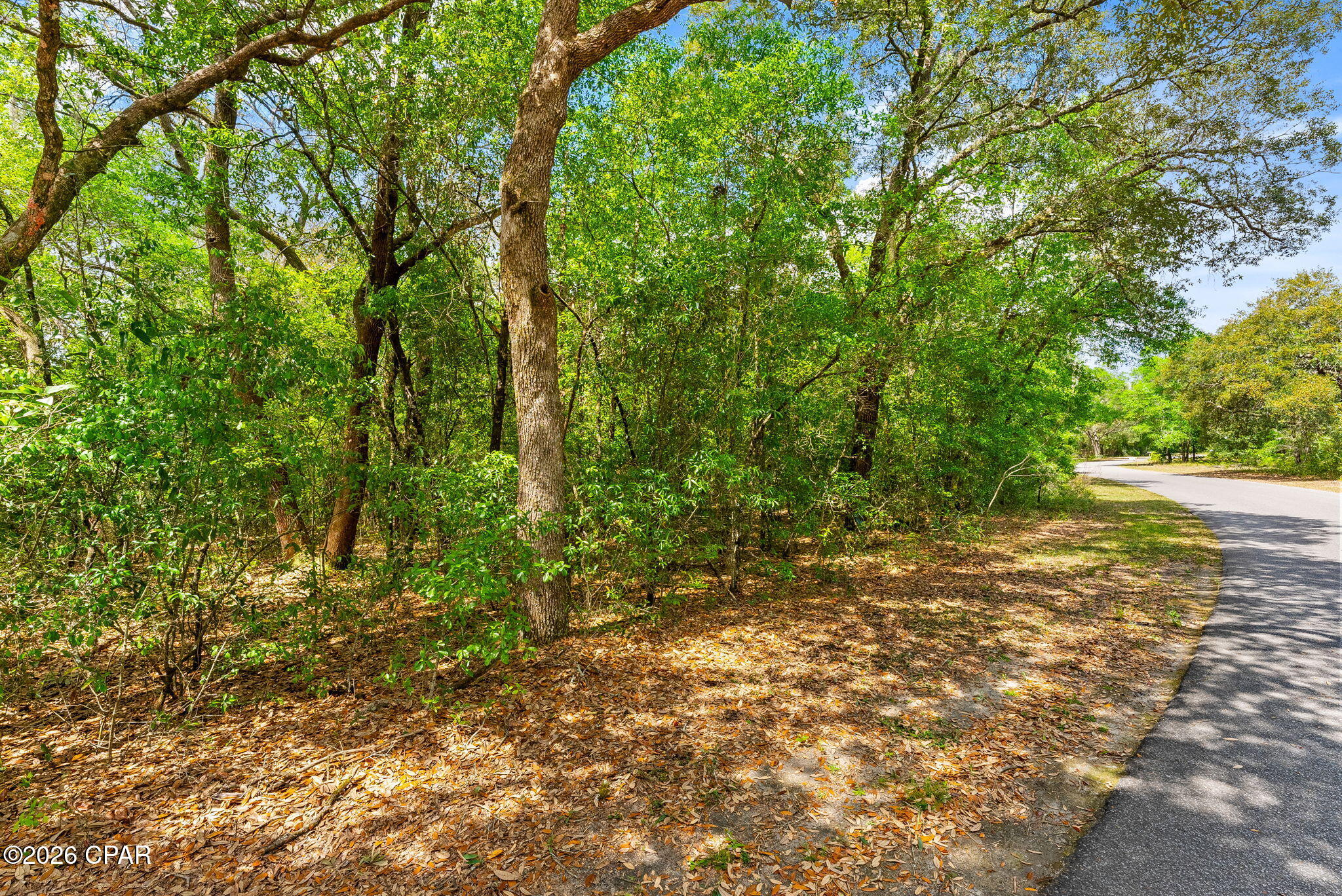 Leisure Lakes 1st Add - Land