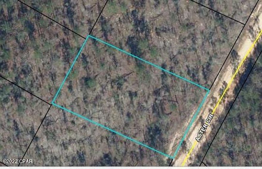 Wooded lot at Compass Lake on the Hills. Did you know that owning property in Compass Lake provides you access to several amenities like a pool, driving range, kayaking, private boat ramp, paddle boarding, fishing, swimming, horseback riding and much more. There are several lakes/ponds in this community with great fishing and swimming. With just a little bit of land clearing, this property can be a dream homestead site. 

This owner has 19 other properties for sale in Compass Lakes. Make an offer on the other properties and get them as a package deal!