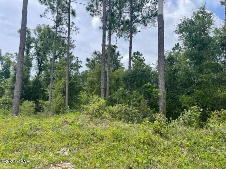 Beautiful 9 acre tract of land just north of Marianna.  Very convenient to Sunland, the Airport and Industrial Park.   Great place to build your home or have a mobile home.   It's just a short drive into town for all local amenities.