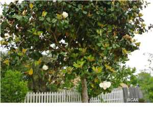 Bid-A-Wee North 1st Add - Residential