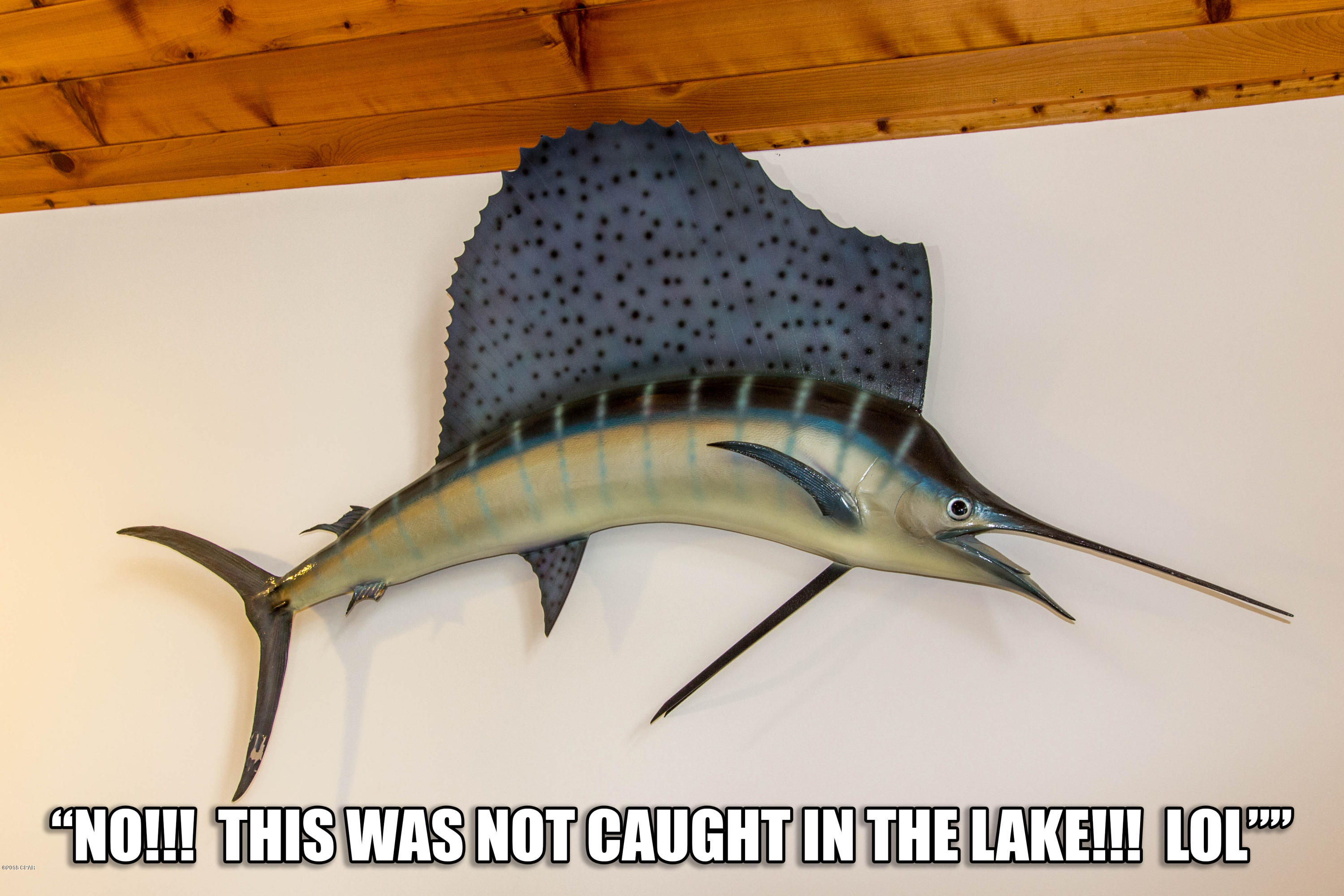 Paradise Lakes - Residential