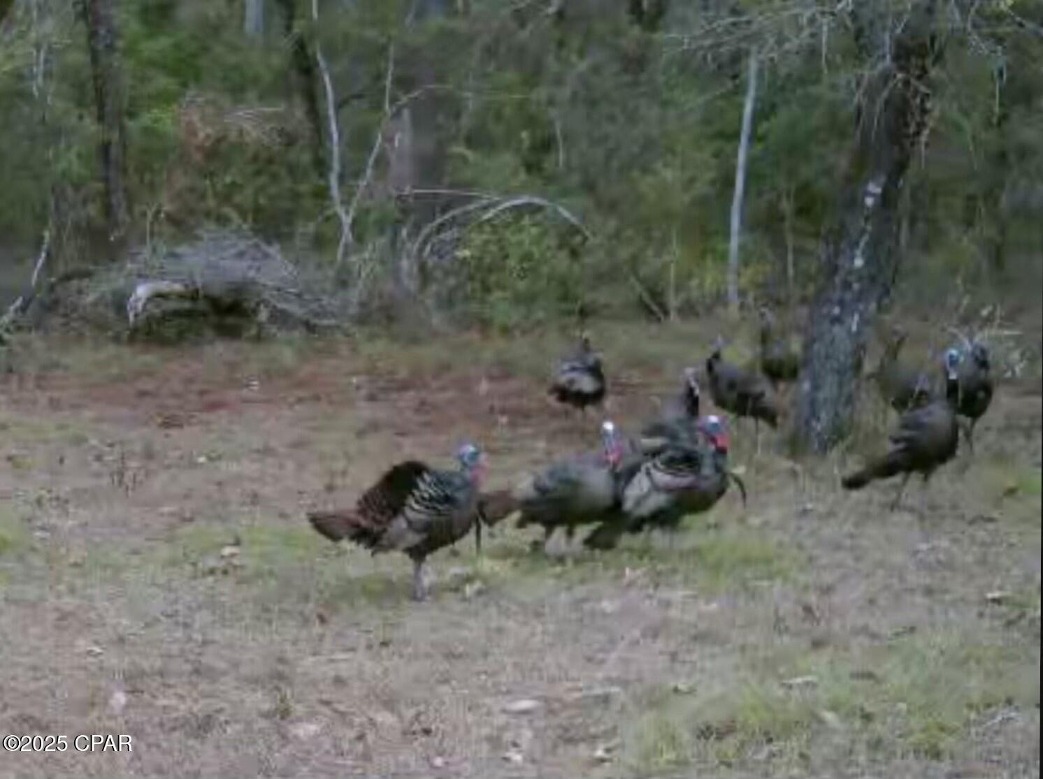 Riverside Estates - Land