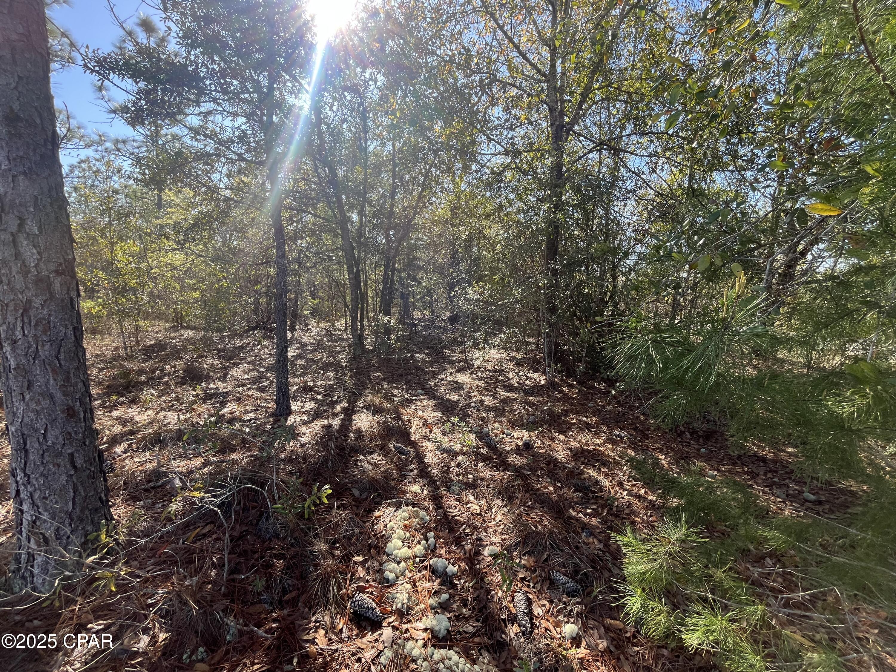 Sunny Hills Unit 1 - Land