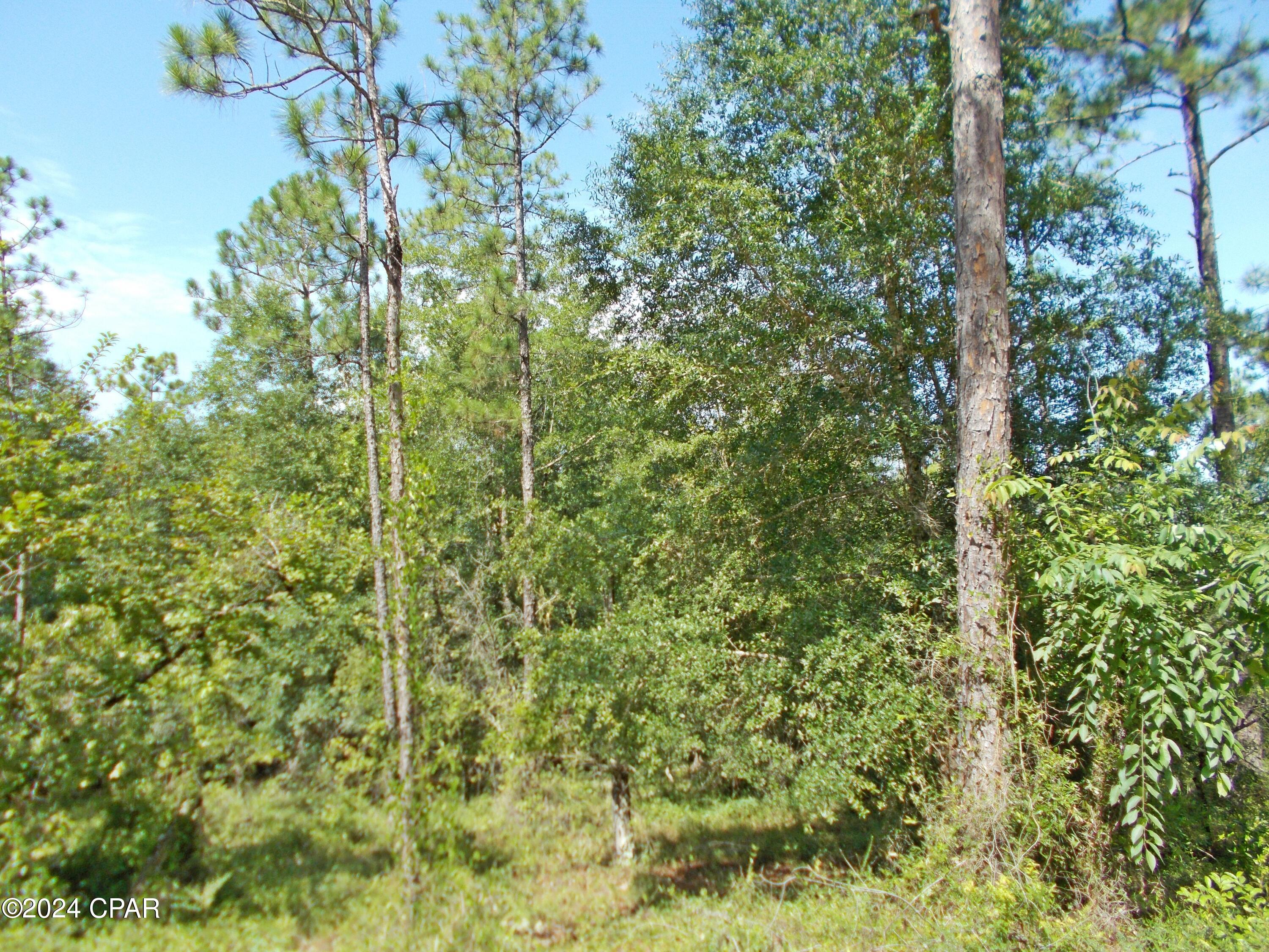 Compass Lake Hills Unit 5 - Land