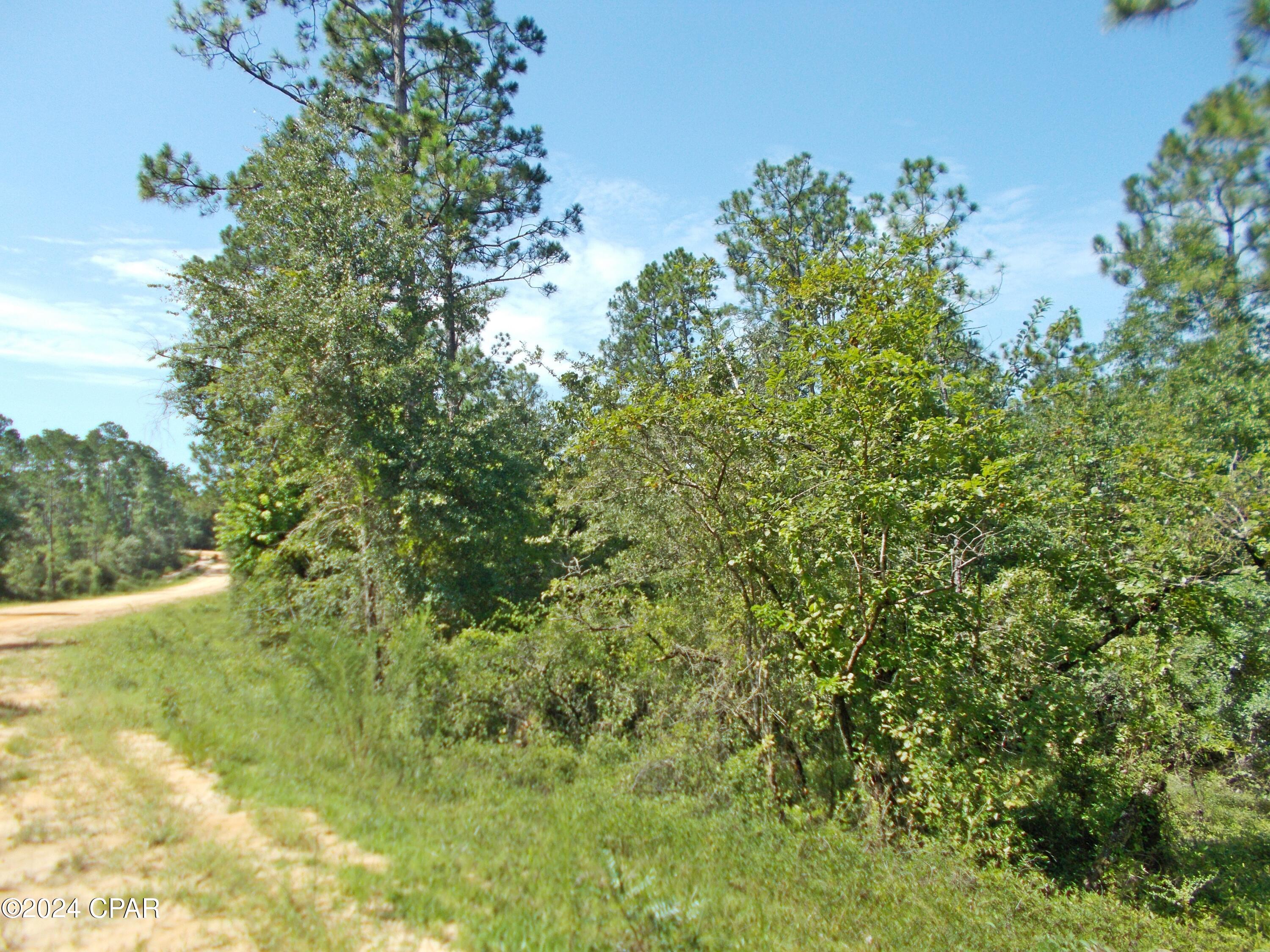 Compass Lake Hills Unit 5 - Land