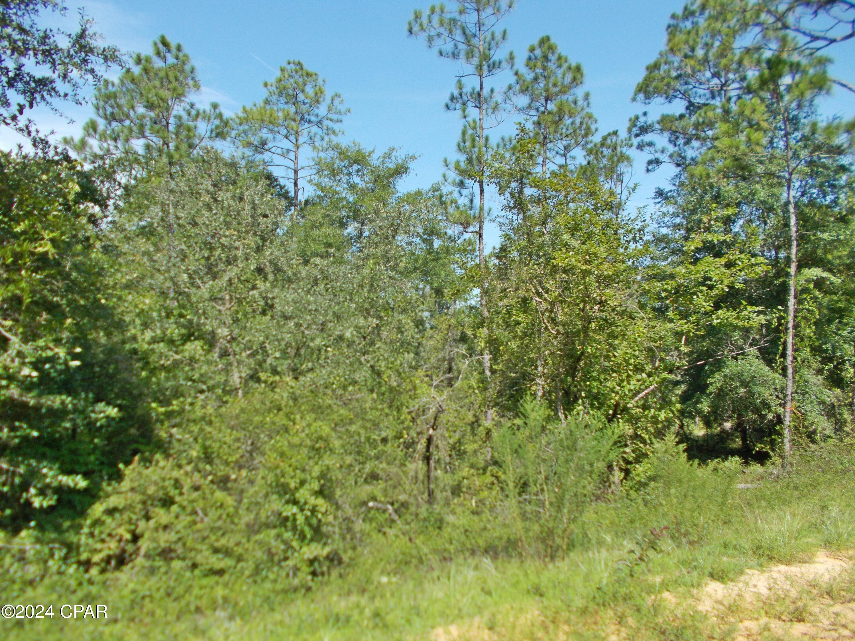 Compass Lake Hills Unit 5 - Land