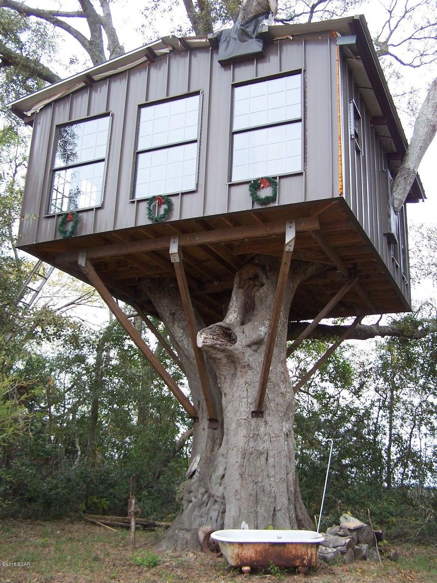 50 ACRES total, 40 ACRES of rowcrop Plus a TREEHOUSE, Yes a TREEHOUSE. Majority of the soil is Orangeburg loamy sand. Good crop production, planted in peanuts 2014. Slightly rolling terrain, some terracing. A TREEHOUSE sitting in a huge oak tree, 20 x 20. There is a 3 well with a 1 hp pump that was replaced a few years ago. Owner runs all electricity needed with a generator (Not included). Great getaway, lots of game in the area and good farmland. Copy of past survey available. Call for an appointment