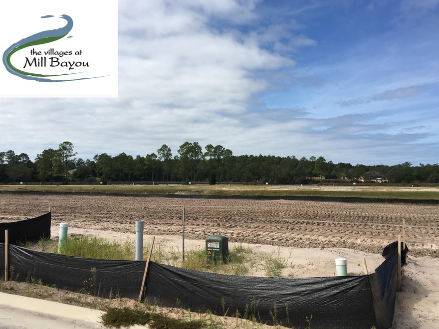 Build your home in Lynn Haven on this lot that backs up to Shoreview Pond and walk down to the HOA maintained park areas on the bayou. Neighborhood has pool, firepit, sidewalks, street lights, wide streets for on street parking, 2 dedicated parks, conservation land, and ponds throughout. The development contains Deerpoint elementary on the north and North Bay Haven Charter Academy within walking distance on the south. Lot has potable water, reuse for low cost lawn and landscape irrigation, power, sewer, and natural gas.