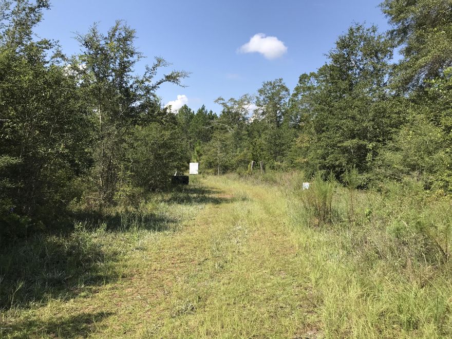 3 Acres of land, on a paved road, with a well and septic tank in place in a peaceful country setting. This land appears to be high and dry and would be perfect for building or placing a mobile home. The property does need bush hogging currently, but the potential is there. There is an existing home on the property that needs cleaning and some TLC but could be renovated and made livable. Plenty of wildlife in this area. Some good sized trees in back of property that would give good shade. Circle driveway already in place but some trees needs trimming. Could be a great home site with a little work!