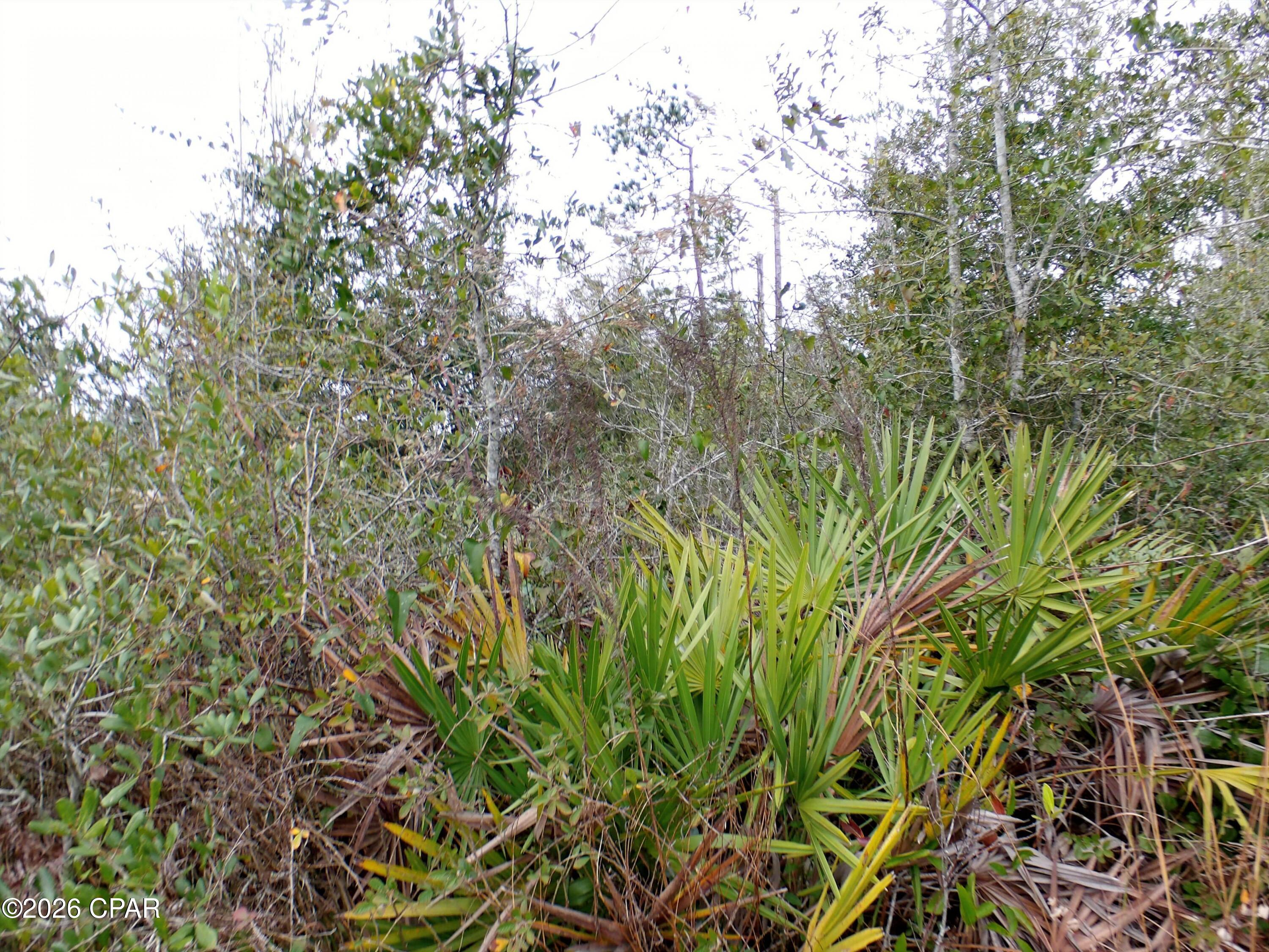 [No Recorded Subdiv] - Land