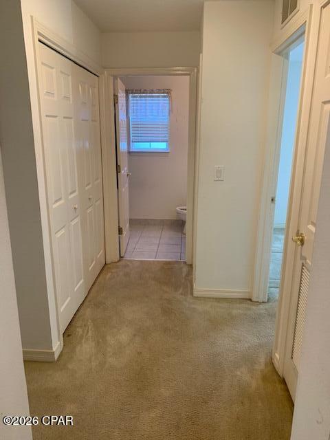 Palmetto Trace Phase 2 - Residential