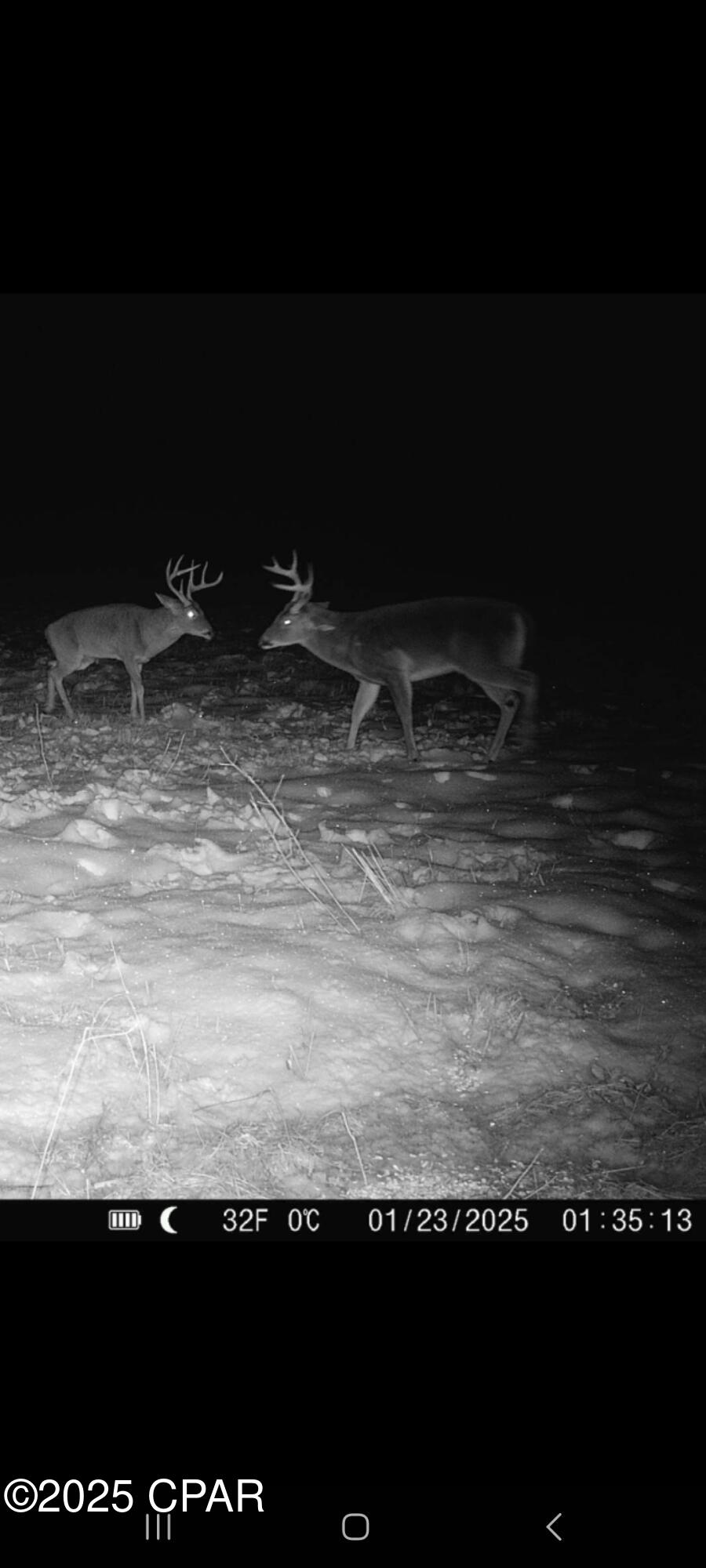 Blue Springs Plantation - Land