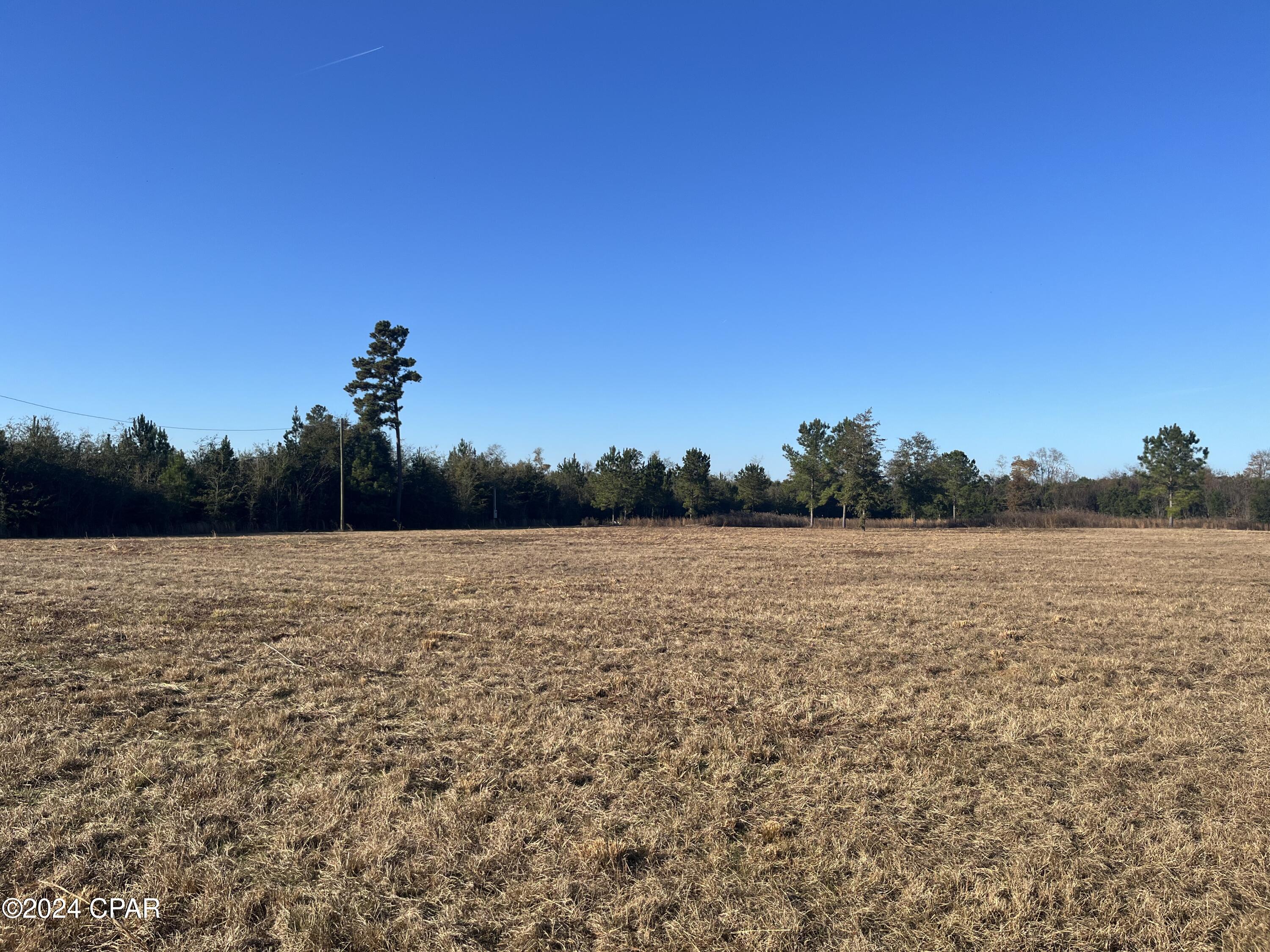 Blue Springs Plantation - Land