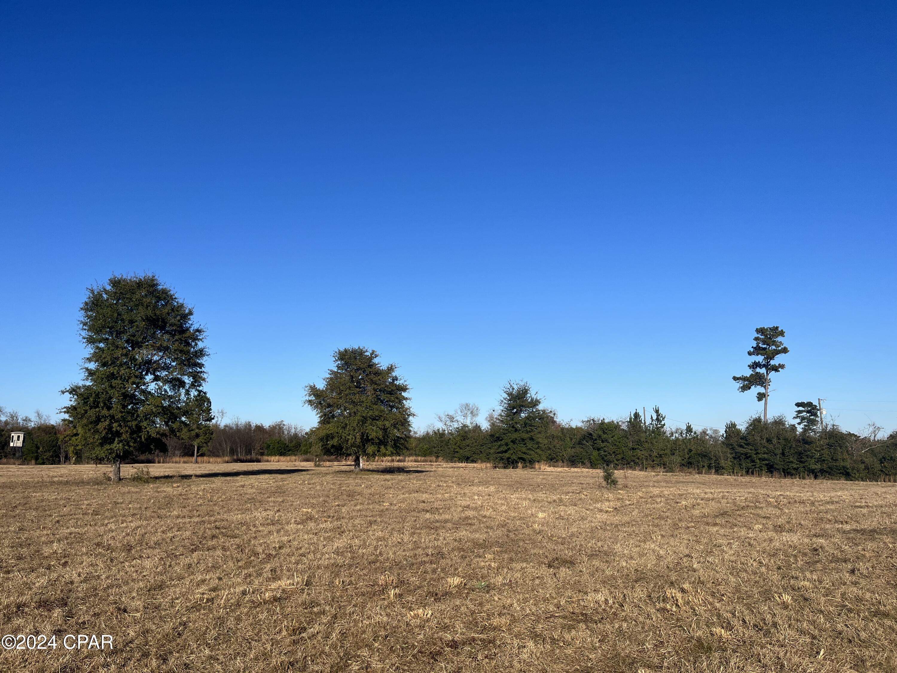 Blue Springs Plantation - Land