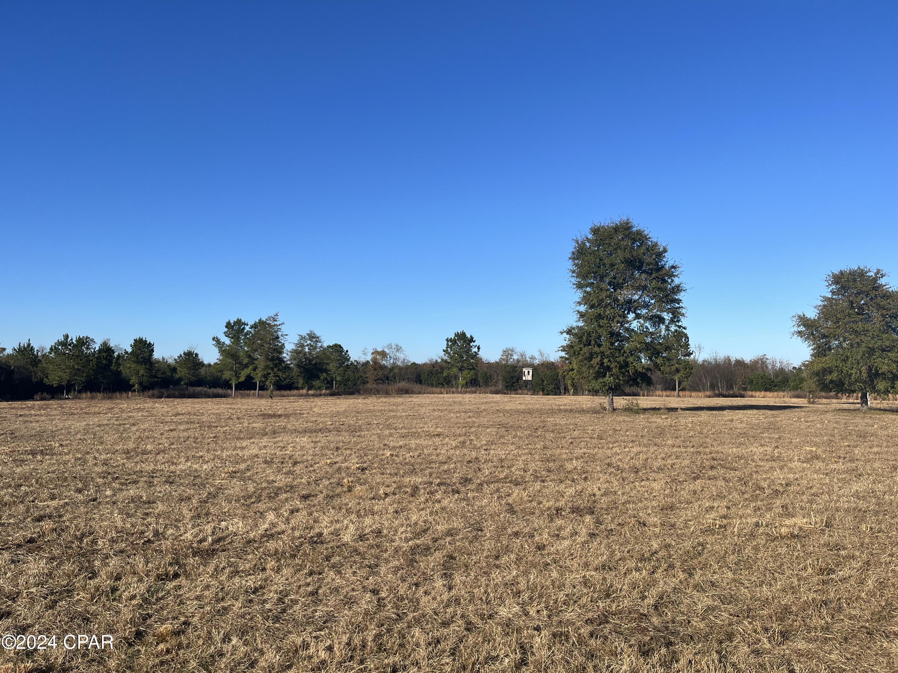 Blue Springs Plantation - Land