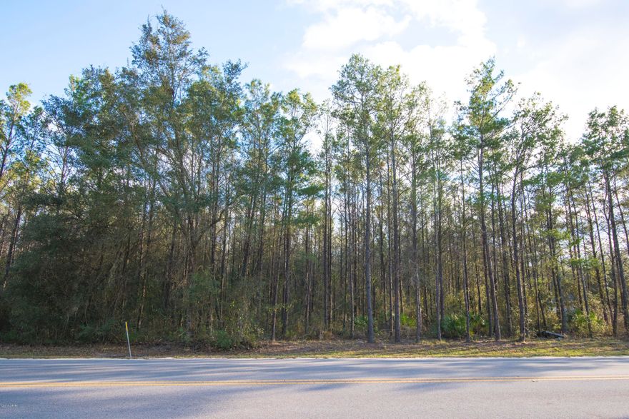 Beautiful wooded parcel close to Deane Bozeman School and minutes to town/Beach. Come build your dream home on this amazing lot with spectacular oak trees.