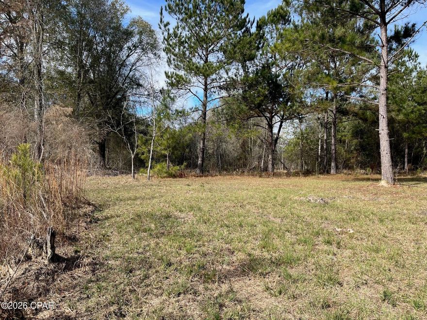 Boasting nearly 10 acres of Jackson County's finest, this beautiful parcel features wooded road frontage for privacy and a cleared section at the rear—ideal for a homesite, mini ranch, or peaceful weekend retreat. Enjoy the best of both worlds with a secluded, tucked-away setting just minutes from Lake Seminole, yet conveniently located within an easy drive to Dothan, Tallahassee, and the sugar-white sands of Panama City Beach. Whether you're looking to build, relax, or invest, this property offers space, serenity, and unbeatable access to the region's best amenities.