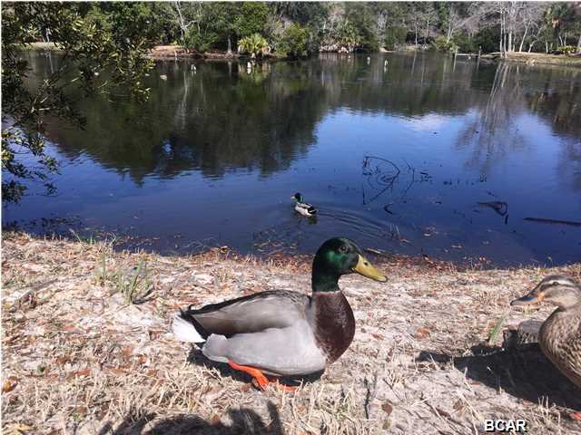 Oaks Plantation - Residential