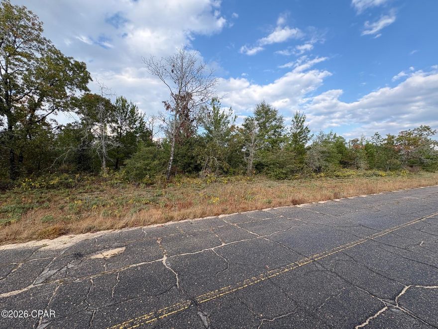 Excellent opportunity to own a .229 acre flat and level building lot in Unit 6 of Sunny Hills, located at Lot 55 on Dandelion Drive. This homesite is ideally situated in a growing section of the community with several new construction homes nearby, along with established residences just around the corner and along adjoining Marathon Avenue.

The lot offers a straightforward building footprint with level elevations, helping simplify site prep and construction planning. Whether you're a builder, investor, or future homeowner, this parcel presents strong potential in an area experiencing steady growth and increasing demand.

Even better, Lot 54 next door is also available from the same seller at the same price, providing a rare opportunity to secure side by side lots for added space, flexibility, or future development options.

Sunny Hills continues to attract buyers due to its convenient access to Highway 77, with Chipley to the north and Panama City and the Gulf Coast beaches to the south.

If you're looking for a competitively priced investment in a booming Northwest Florida community, this lot deserves your attention.