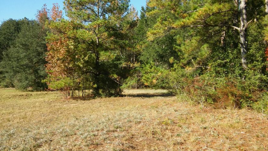 Beautiful 5 acre tract with lots of highway frontage. This will make a great building lot as it is already cleared. Property is all high and dry and has some nice shade trees on it. The two adjoining lots are for sale also. Two seven acre tracts. Located on the popular Bethlehem Highway, HWY 177.
