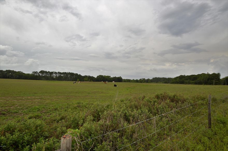 What a find!!!! Pasture all fenced with lots of road frontage on 2 county maintained roads. Currently used for cows, but ready to put crop in ground or build your dream home.