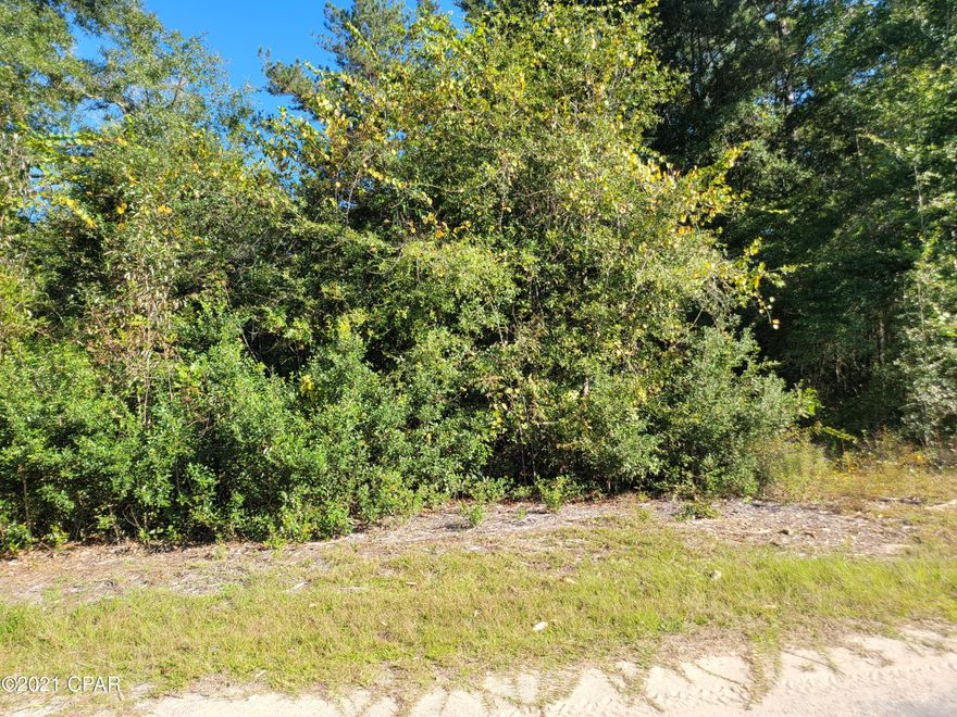 Nice wooded 1 ac +/- lot in Vernon. Lot is located on a paved road. Mostly wooded but will be a nice place for your home or mobile home. Approx. 30 minutes to Panama City Beach. Seller says there is an old well and septic from an old homesite but does not guarantee their condition. Buyer to verify all information.