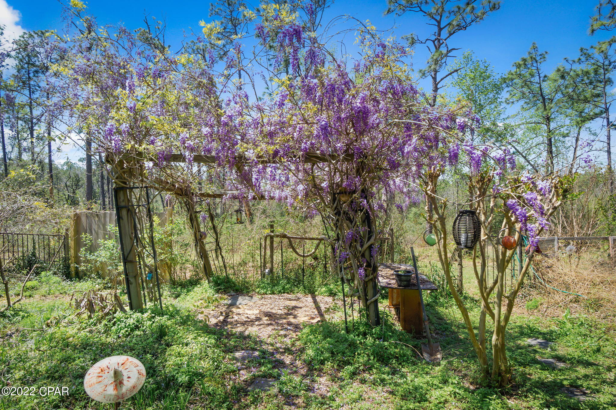 Buckhorn Creek - Residential