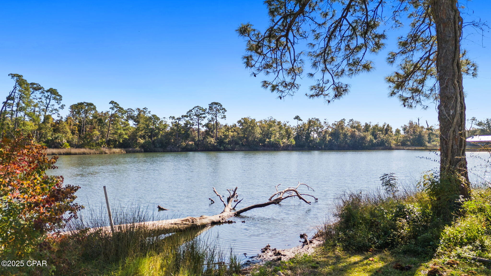 Dell Whatley - Residential