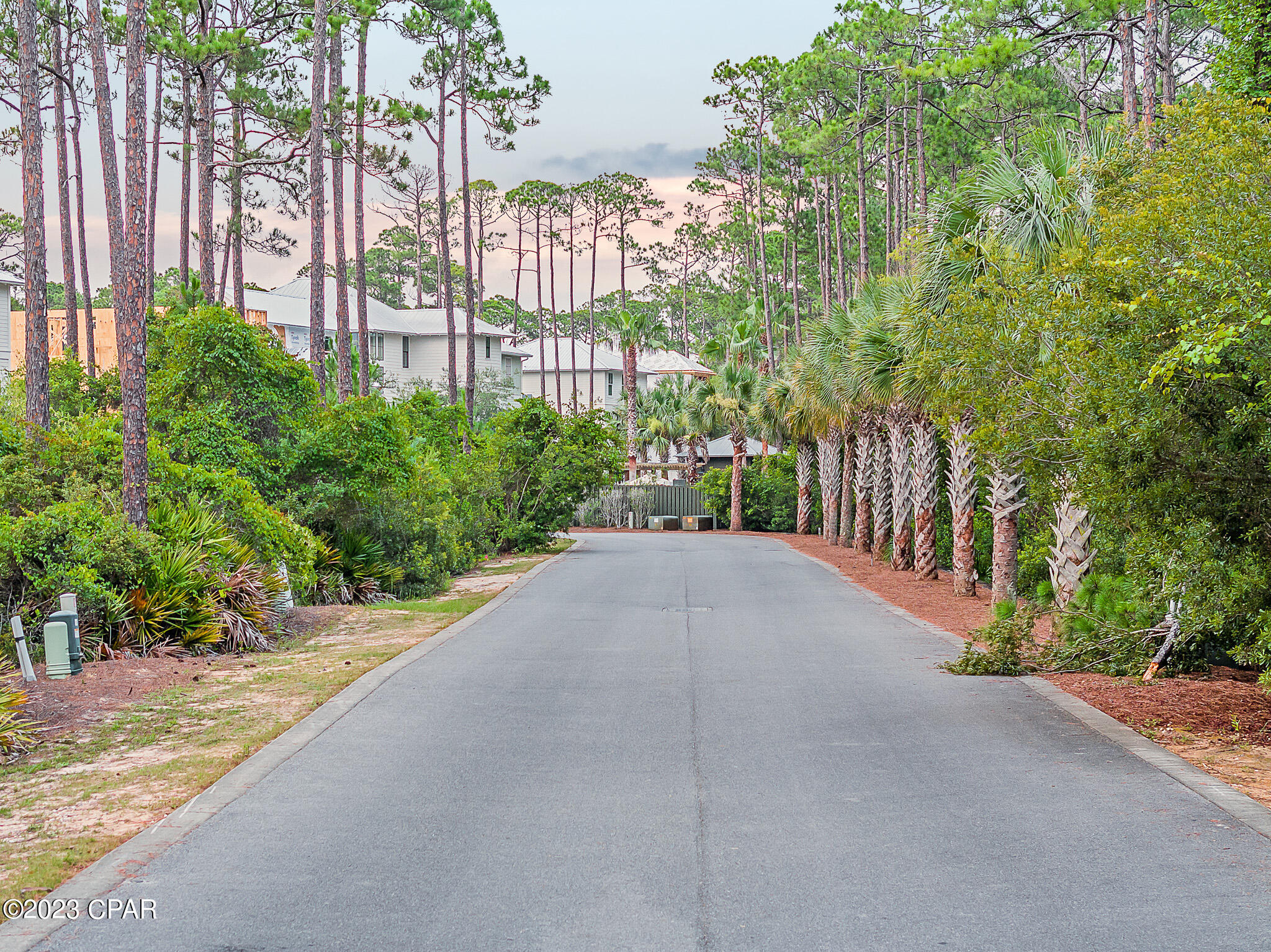 Treetop - Residential
