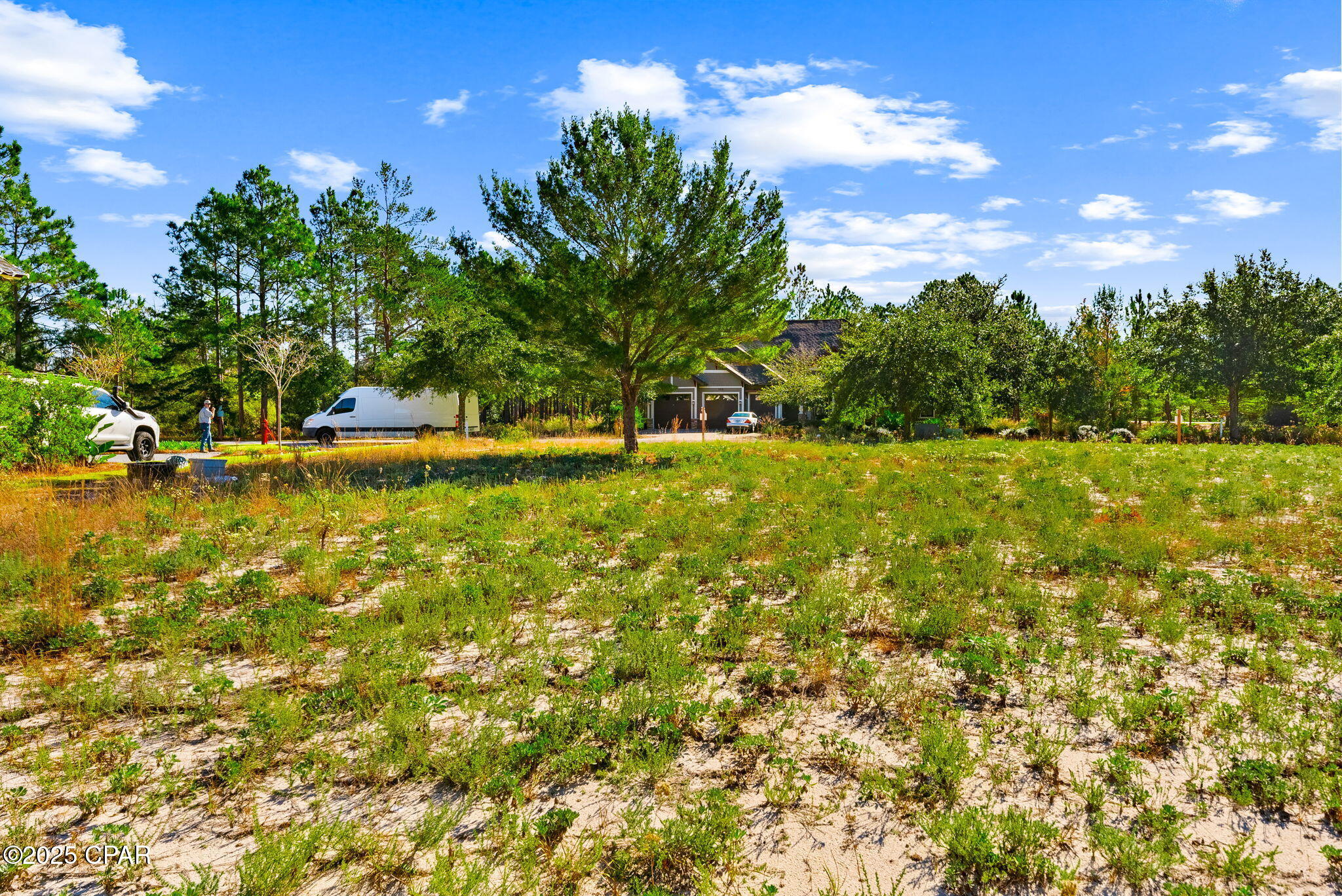 Wild Heron Phase II - Land