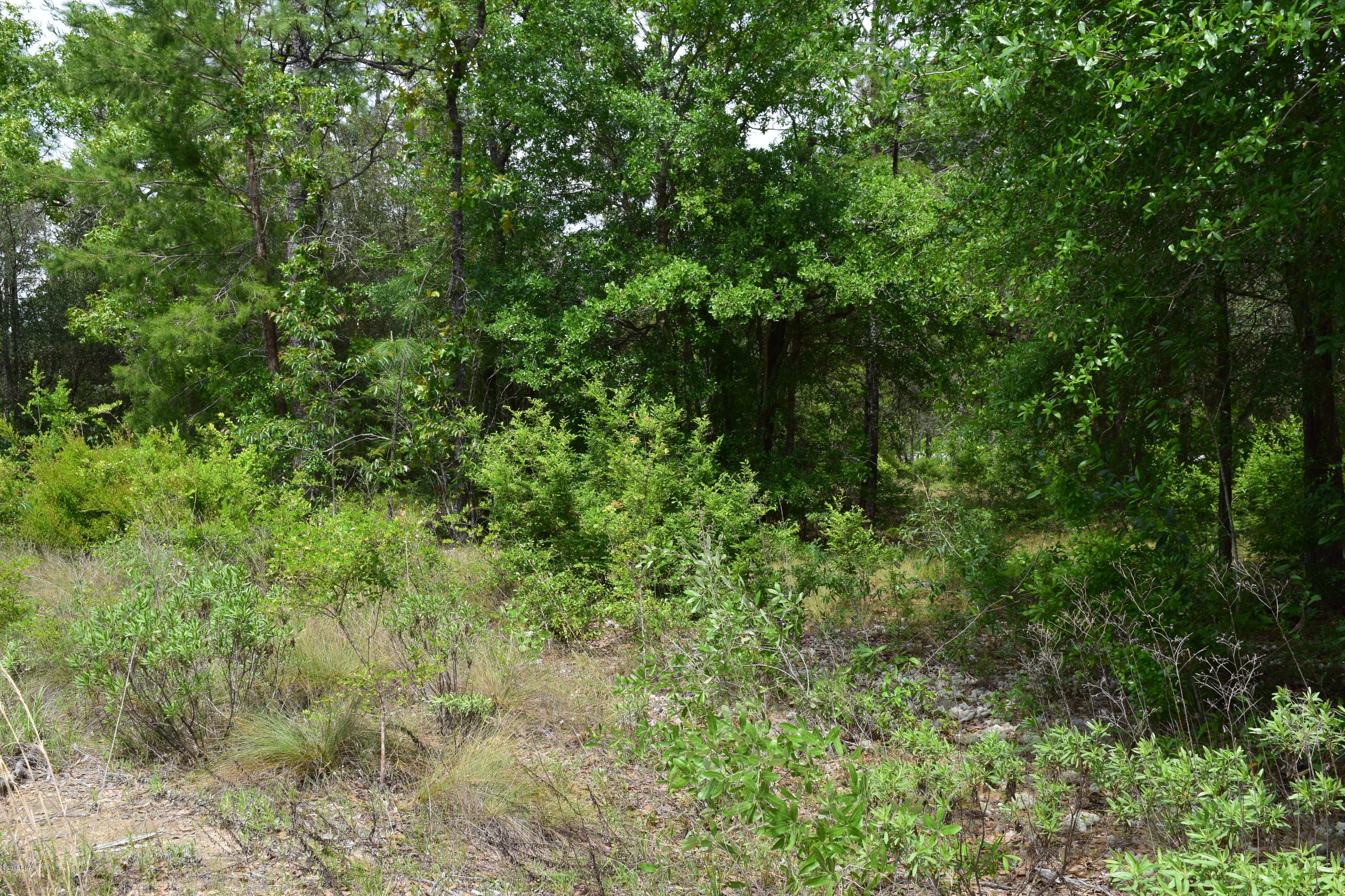 The Village Of Spanish Lakes Phase I - Land