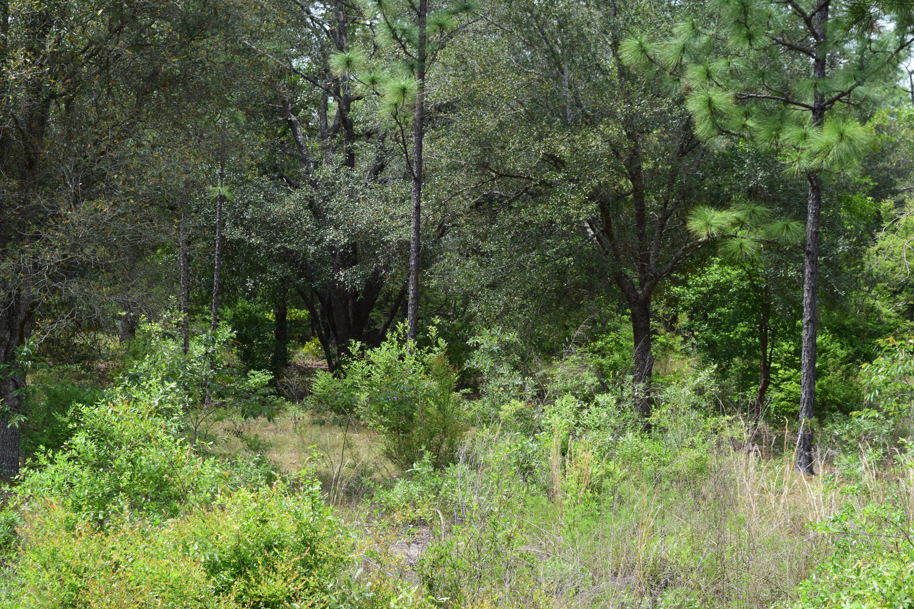 The Village Of Spanish Lakes Phase I - Land