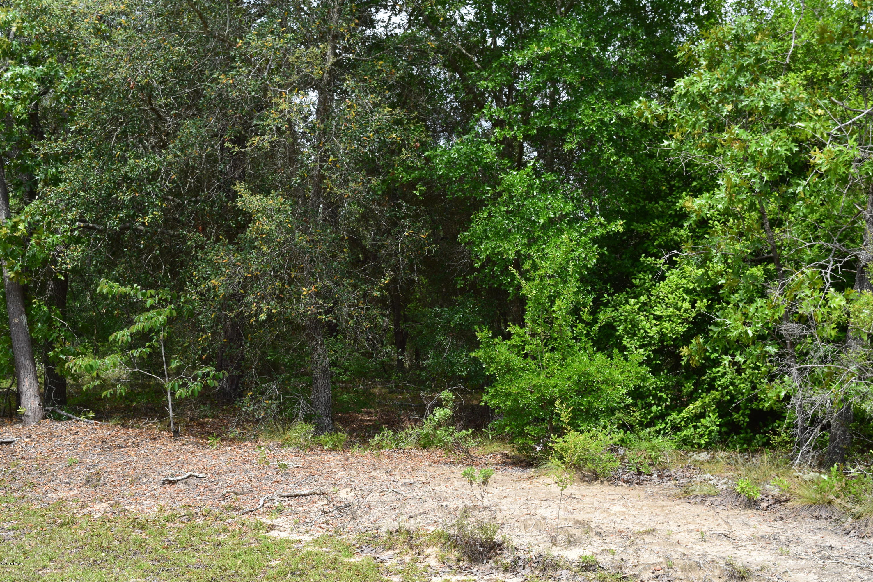 The Village Of Spanish Lakes Phase I - Land