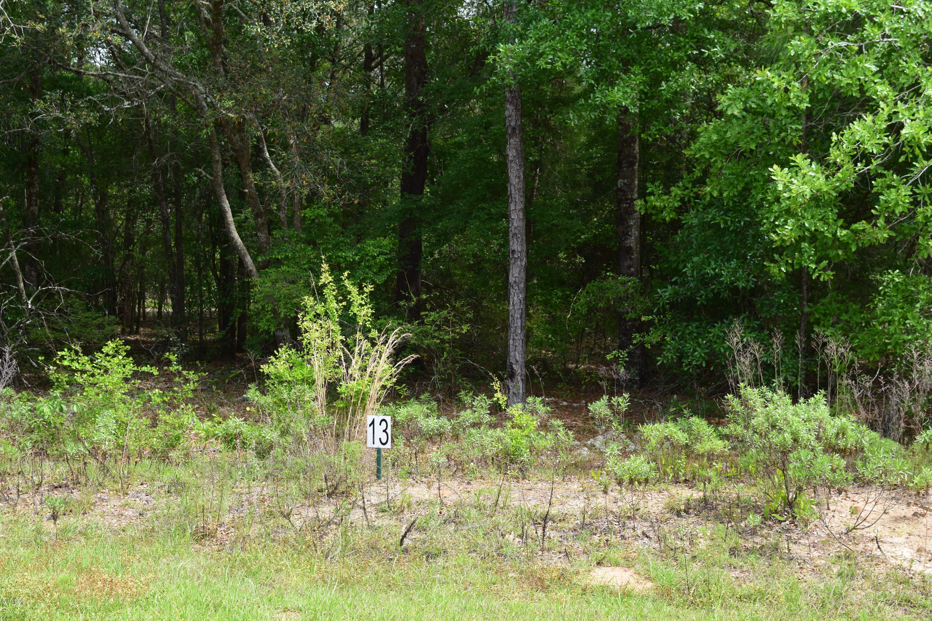 The Village Of Spanish Lakes Phase I - Land