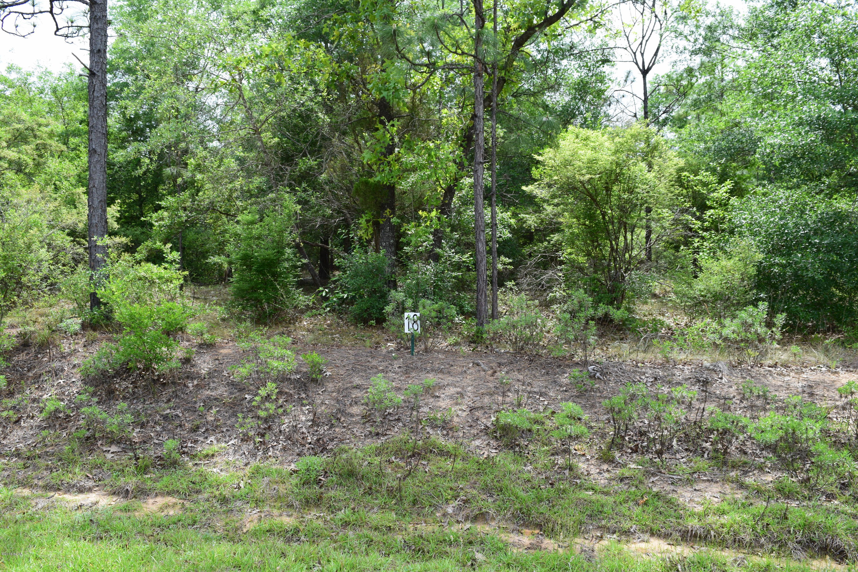 The Village Of Spanish Lakes Phase I - Land