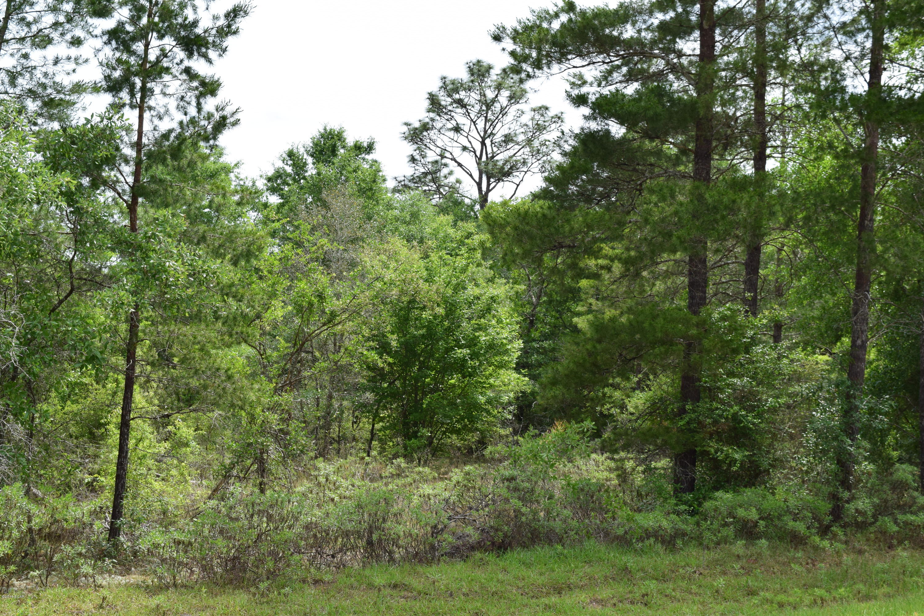 The Village Of Spanish Lakes Phase I - Land