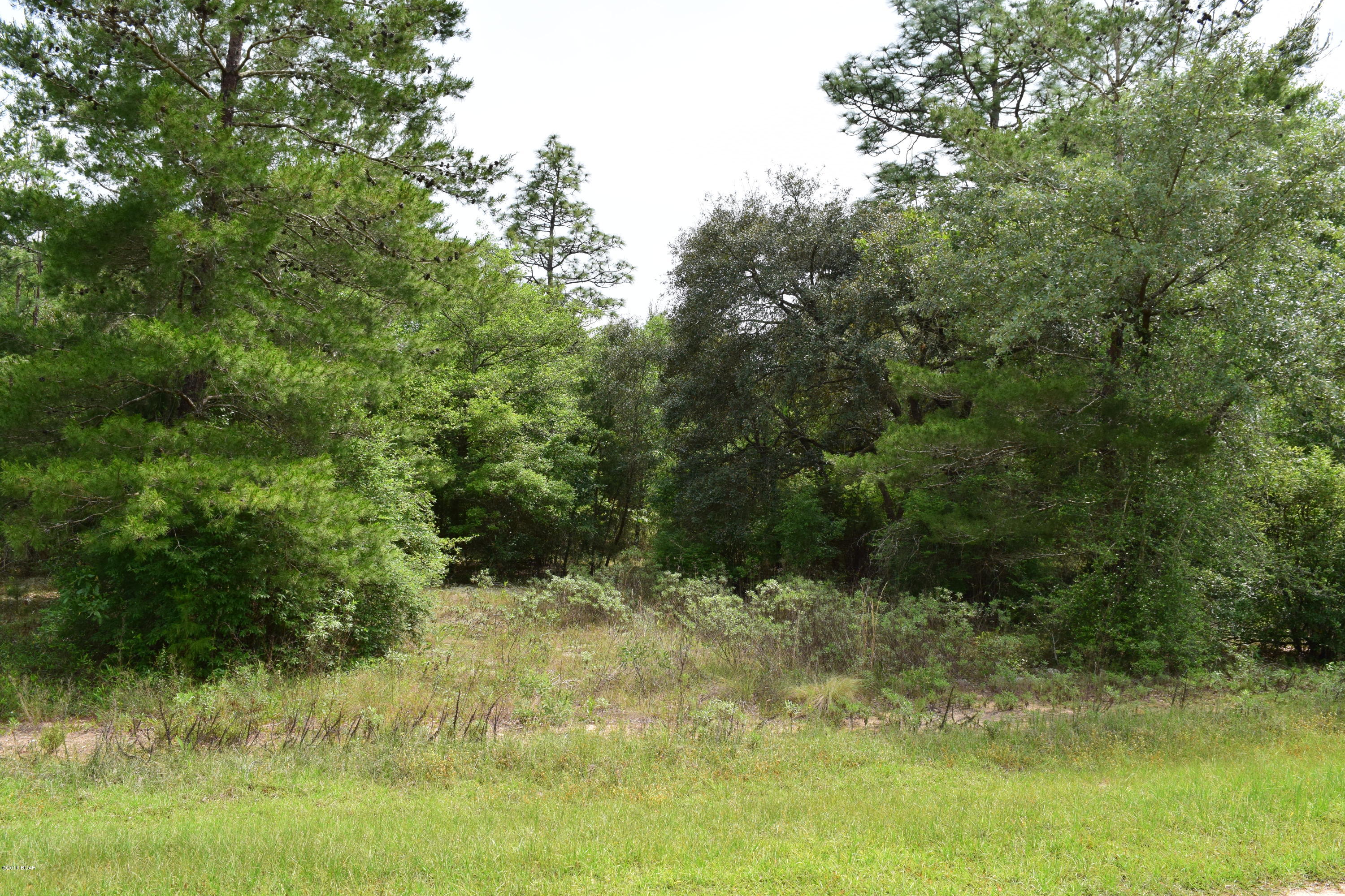 The Village Of Spanish Lakes Phase I - Land