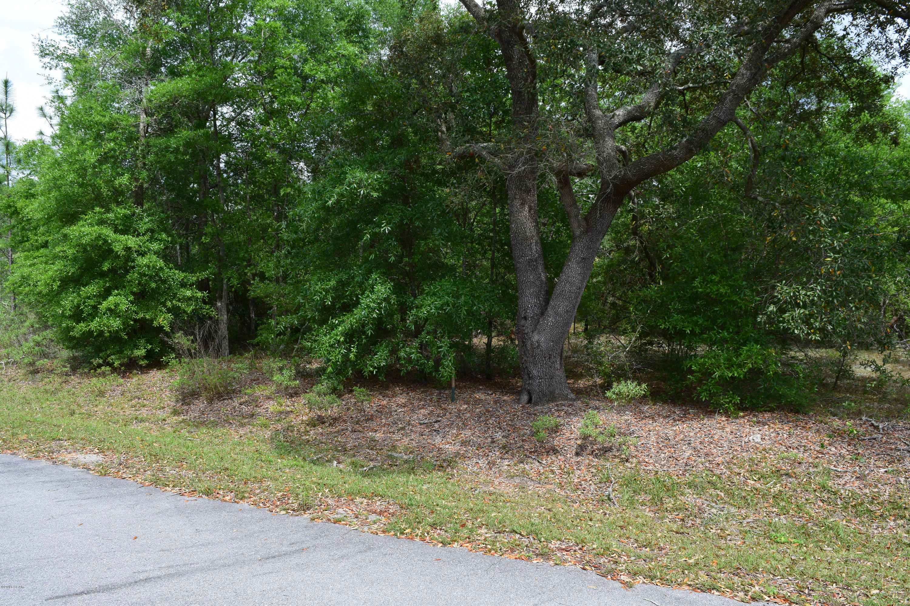 The Village Of Spanish Lakes Phase I - Land