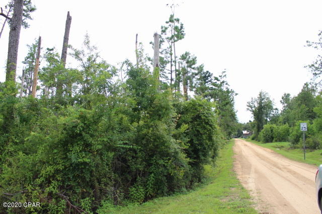 Chipola River Estates - Land
